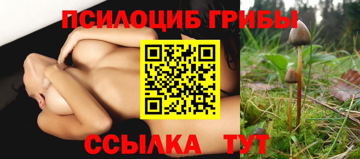 Галлюциногенные грибы прущие грибы Партизанск