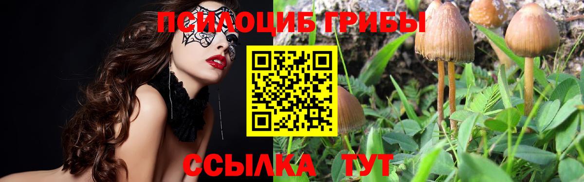 Партизанск  Псилоцибиновые грибы GOLDEN TEACHER  Вход с VPN 